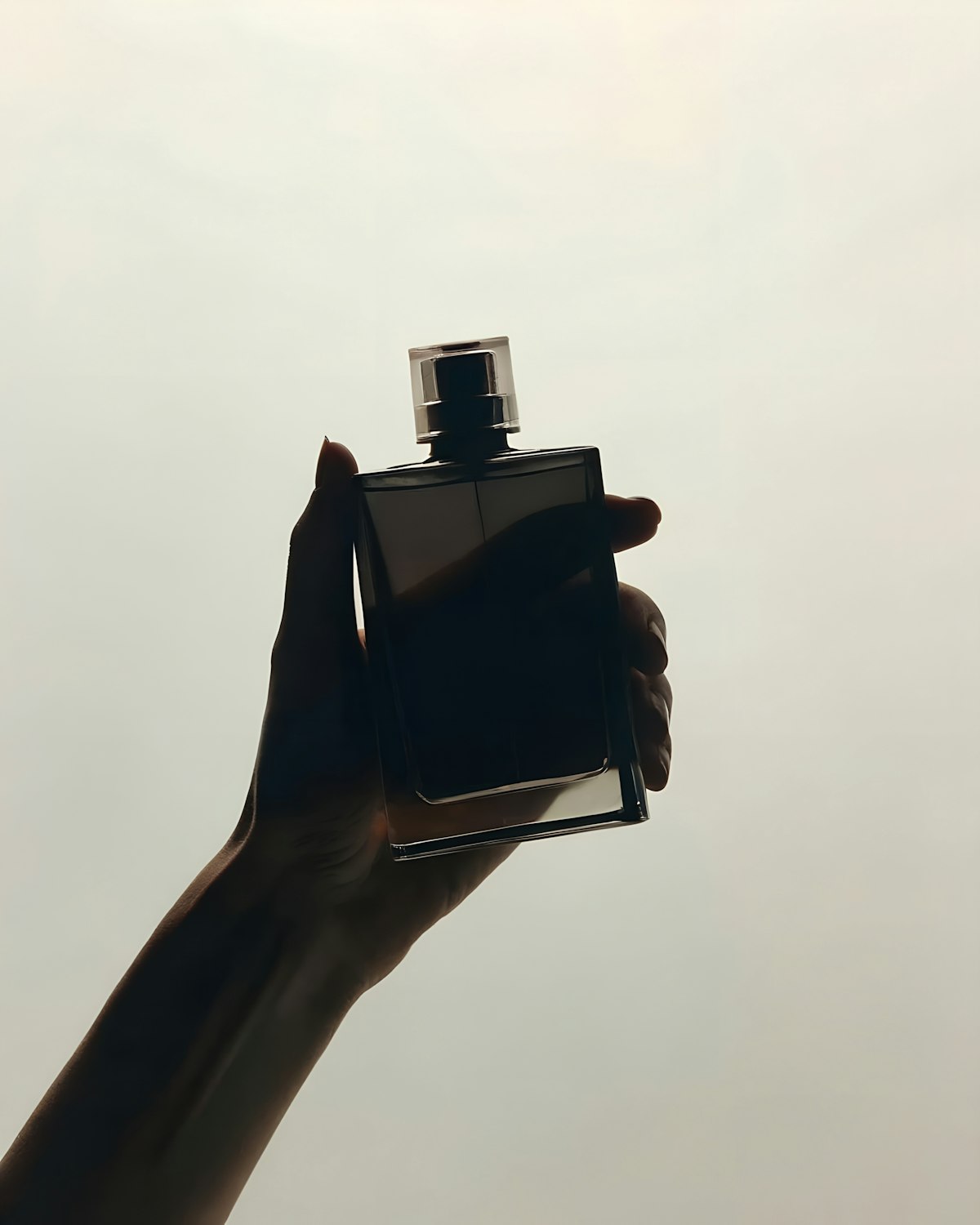 Silhouette of a hand holding a dark perfume bottle against a pale sky